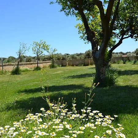Lu Panaru Farm stay