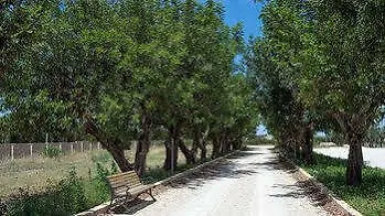 Lu Panaru Farm stay *